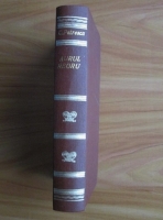 Cezar Petrescu - Aurul negru