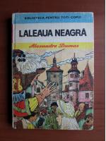 Alexandre Dumas - Laleaua neagra