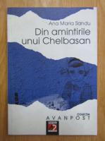 Ana Maria Sandu - Din amintirile unui Chelbasan