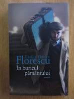 Catalin Dorian Florescu - In buricul pamantului
