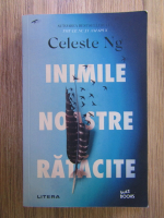 Celeste Ng - Inimile noastre ratacite