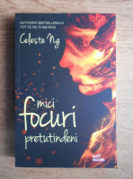 Celeste Ng - Mici focuri pretutindeni
