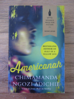 Chimamanda Ngozi Adichie - Americanah