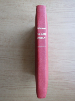 Damian Stanoiu - Camere mobilate (editia a treia, 1930)