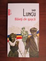 Dan Lungu - Baieti de gasca
