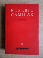 Eusebiu Camilar - Negura