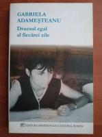 Gabriela Adamesteanu - Drumul egal al fiecarei zile