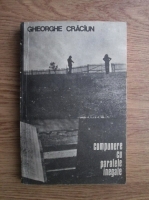 Gheorghe Craciun - Compunere cu paralele inegale
