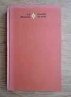 Iris Murdoch - Castelul de nisip 