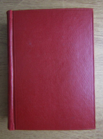 Irving Stone - Agonie si extaz