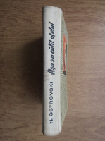 Nicolae Ostrovski - Asa s-a calit otelul