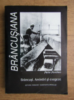 Petre Pandrea - Brancusi. Amintiri si exgeze