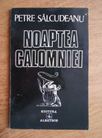 Petre Salcudeanu - Noaptea calomniei