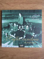 Radu Anton Roman - Suflet candriu de papugiu (volumul 1)