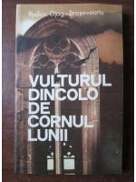 Rodica Ojog Brasoveanu - Vulturul dincolo de cornul lunii