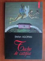 Stefan Agopian - Tache de catifea