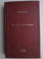 Theodor Constantin - Urmarirea abia incepe