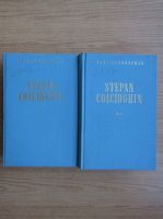 Vasili Grossman - Stepan Colciughin (2 volume)