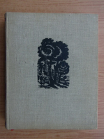 Zaharia Stancu - Descult