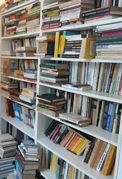 PoliticÄƒ de confidenÅ£ialitate