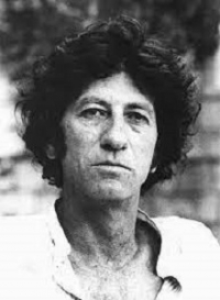 Danilo Kis - Gradina, cenusa