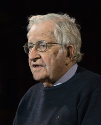 Carti Noam Chomsky
